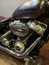 哈雷 Softail Standart 總代理