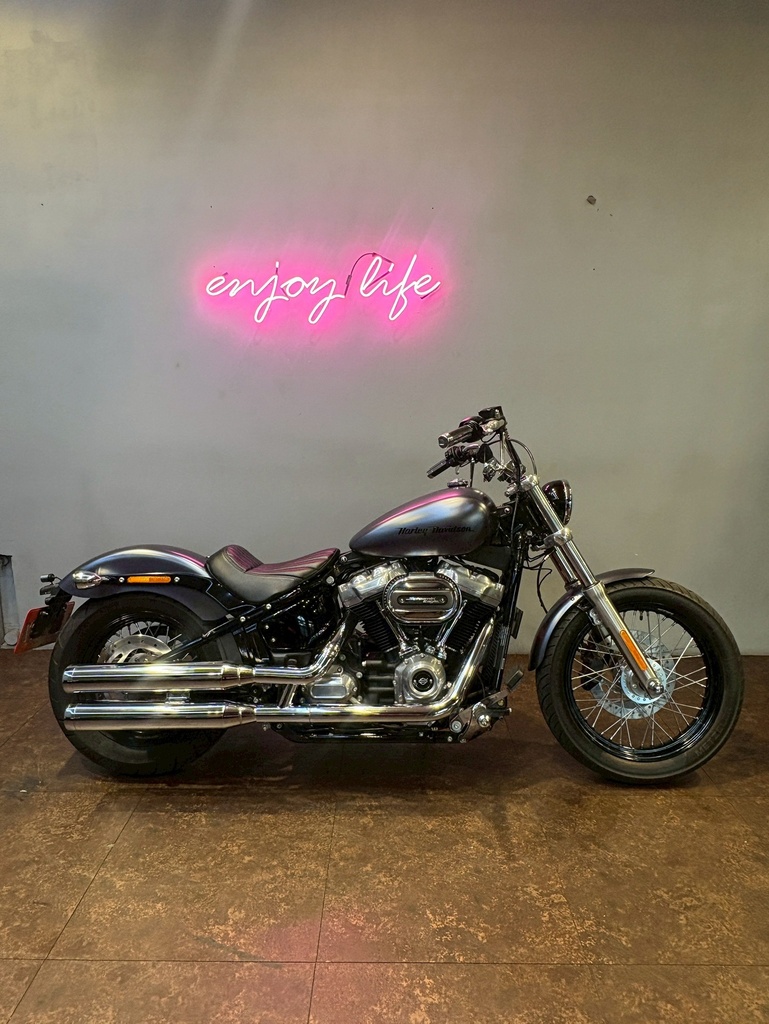 哈雷 Softail Standart 總代理 排氣管有認證